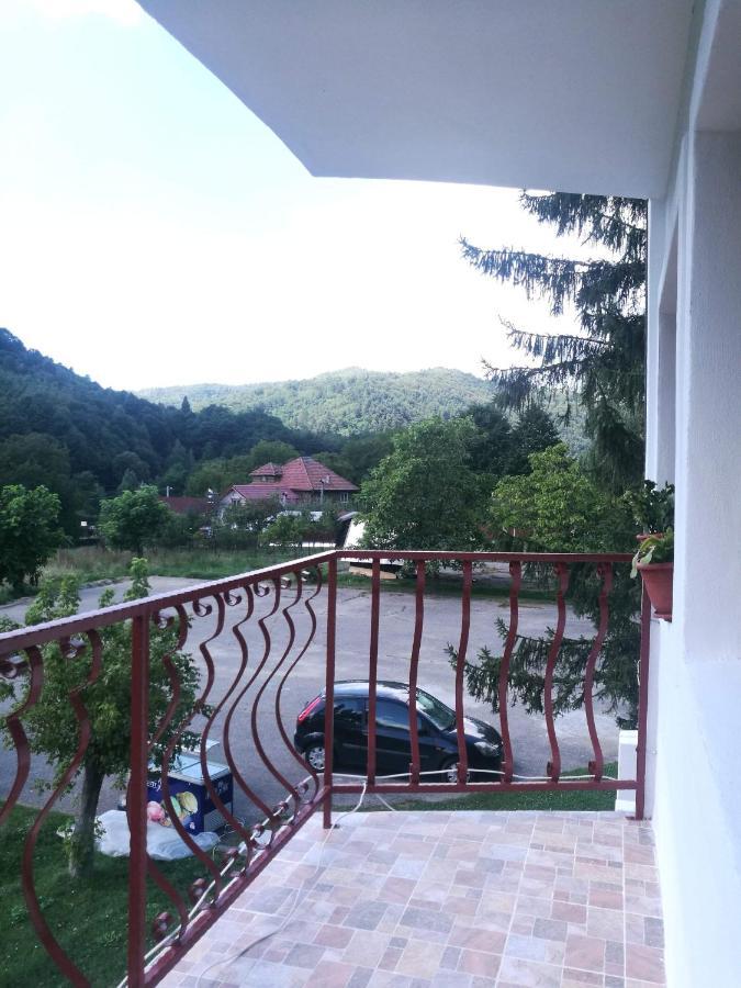 Pensiunea Costesti Dış mekan fotoğraf